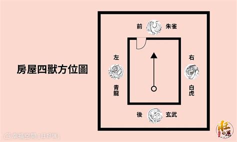 透天厝廁所在龍邊|【風水專家解析】廁所在龍邊怎麼化解？提升事業運、財運，遠離。